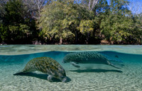 IMG_7014-Edit-Edit-2