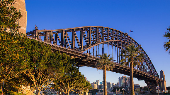 Sydney Harbor Bridge at Dawn
