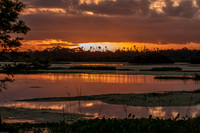 Morning Reflections - Orlando Wetlands