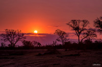Sabi Sands Sunset