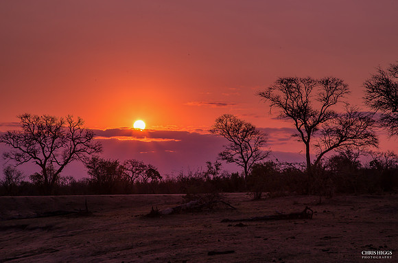 Sabi Sands Sunset
