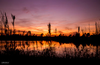 Hunters Ridge - 4