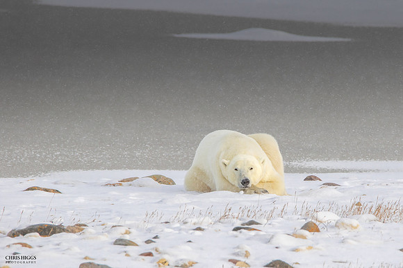 Waiting for the Ice