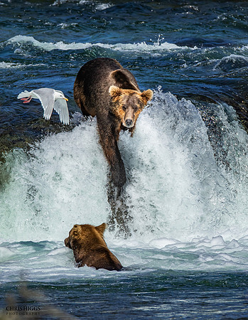 Reach Falls