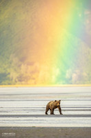 _U1A4041-Edit-Edit
