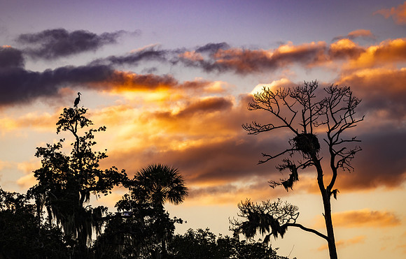 Holly Hill Sunset