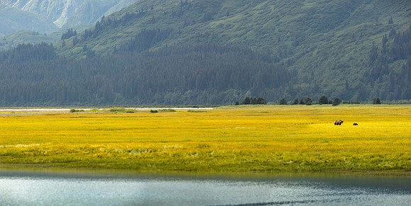 _U1A4174-Pano