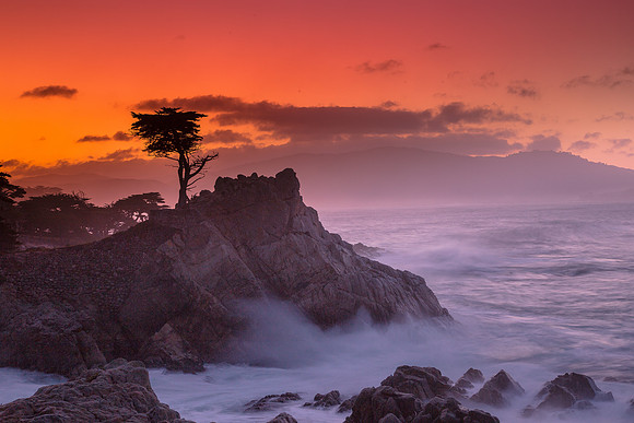 Lone Cypress Sunrise-2