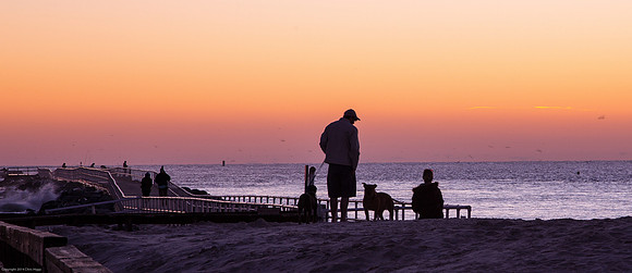 Father, son and dog  -Cherish the simple things