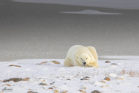 Waiting for the Ice