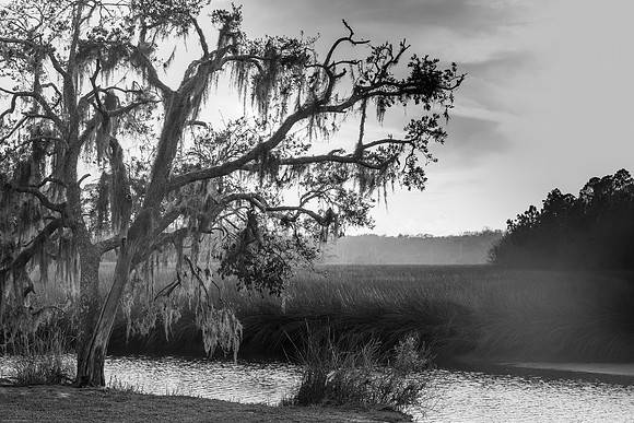 Princess Place Preserve