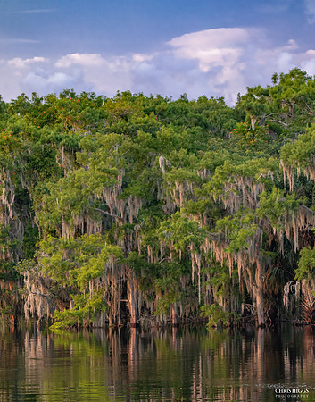Lemon Bluff