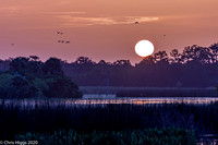 OWP Sunrise