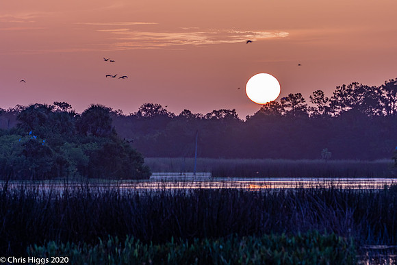 OWP Sunrise