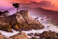 Sunset on the Lone Cypress