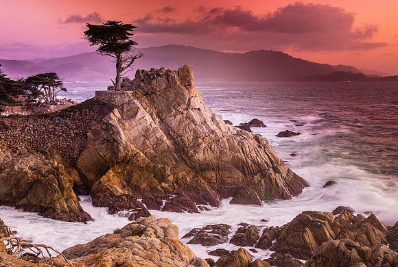 Sunset on the Lone Cypress