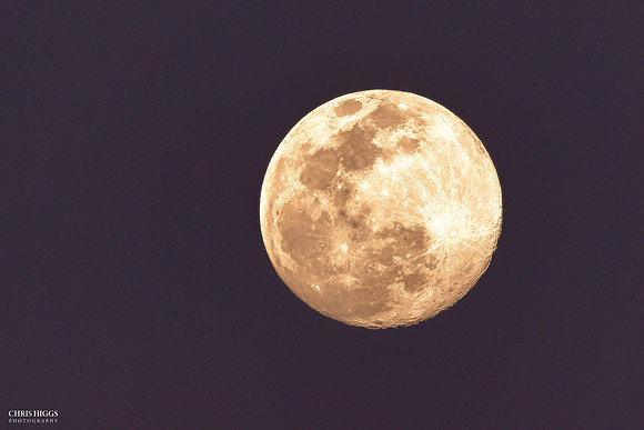 Winter Moon