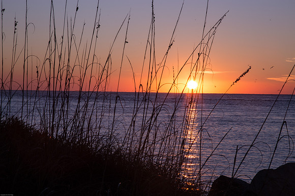 New Smyrna Sunrise