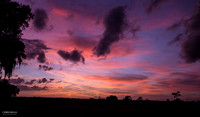 Florida Sunset