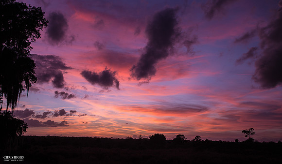 Sugar Mill - Sunset  -2