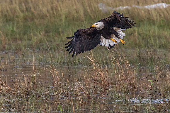 Wet Landing