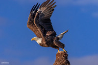 Take Off