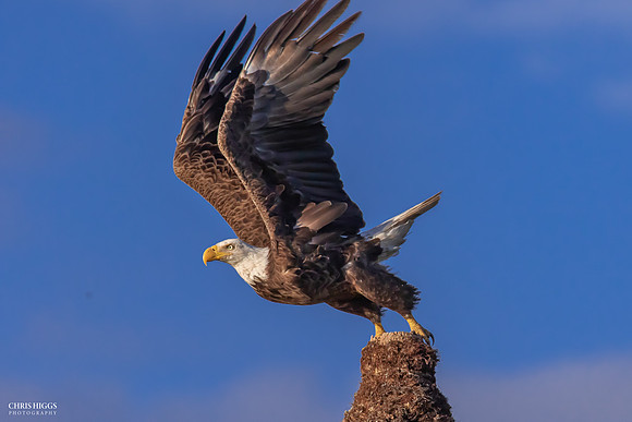 Take Off