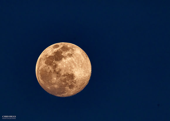 Summer Moon