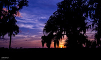 Sugar Mill - Sunset