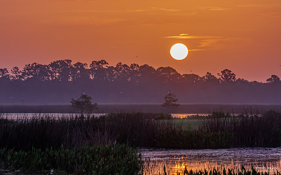 Orlando Wetlands
