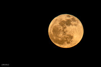 Blood Moon