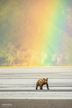 _U1A4041-Edit-Edit