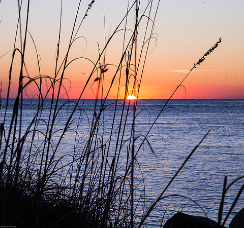 Port Orange Sunrise