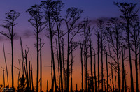 Hunters Ridge - 5