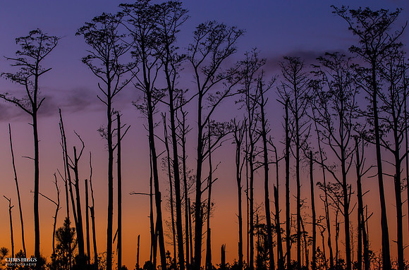 Hunters Ridge - 5