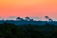 New Smyrna Sunrise