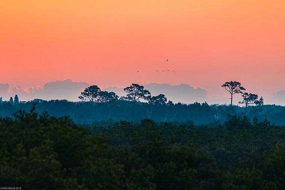 New Smyrna Sunrise