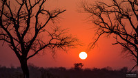 Kruger Sunset