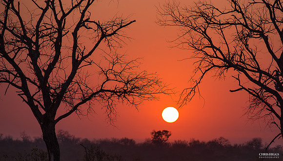 Kruger Sunset
