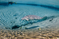 IMG_6077-Edit