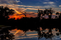 Holly Hill Winter Sunset