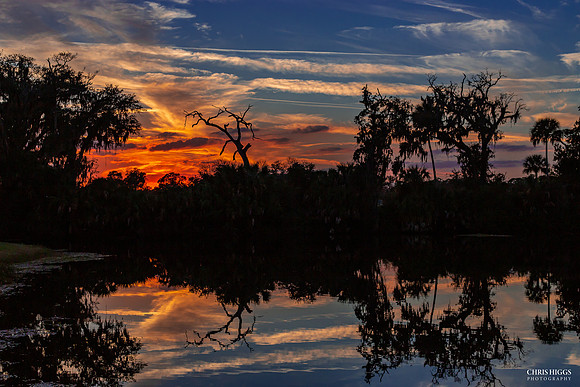 Holly Hill Winter Sunset