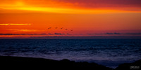 Monterrey Bay