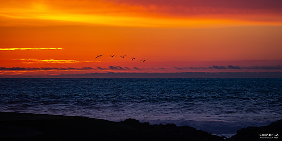 Monterrey Bay