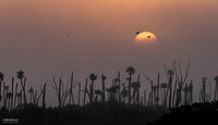 First Light