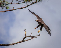 First Flight - Missed Approach