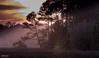 Princess Place Winter Sunset - 2